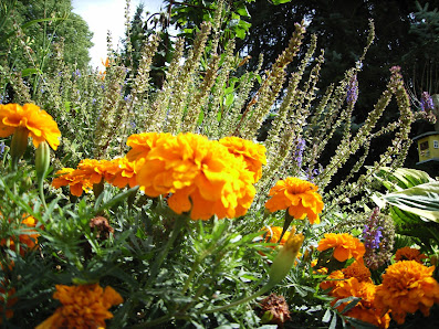 Gartenfachbetrieb Lau