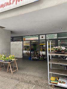 Blumen und Pflanzen