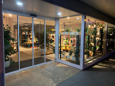 Lenkersdorf Gärtner & Florist