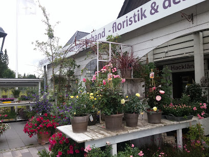 Blumen Hackländer