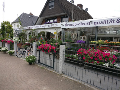 Blumen Hackländer