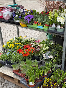 Blumengeschäft