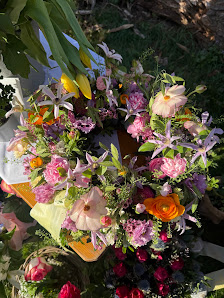 Roses & Rosé