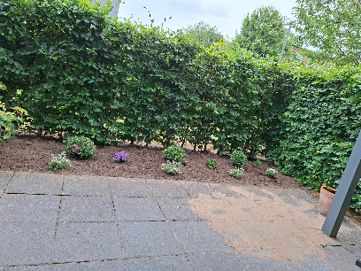Haus- & Gartenservice Kohlwes