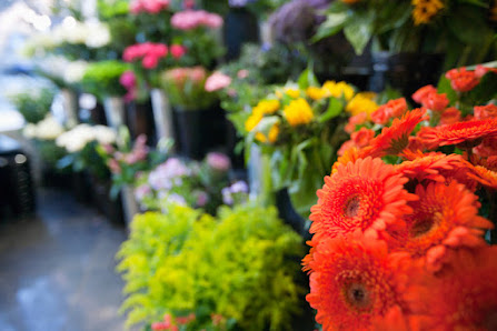 P S Blumen Inh. Petra Schleßelmann