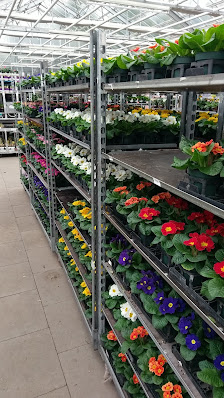 Blumen-Abholmarkt 16 GmbH