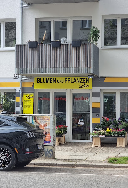 Blumen Und Pflanzen Lisa