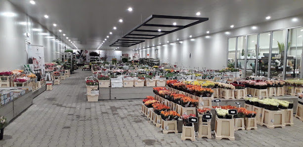 FleuraMetz Chemnitz