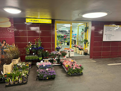 Linh Flowers