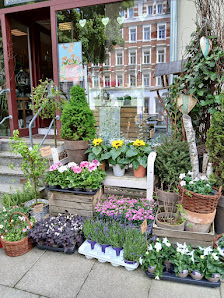 Blumen "Floral Total" " Blumen und Träumereien"| Constanze Heine