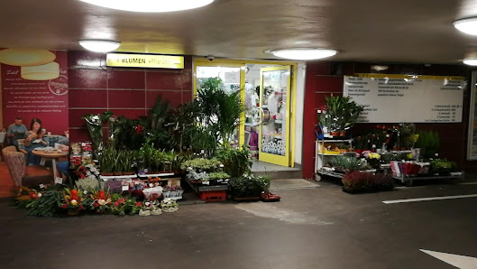 Blumen Pflanzen Urbanis (UG U-Bahnstation)