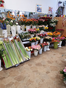 H. Blumen- und Pflanzengeschäft