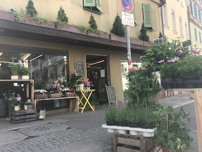 Blumen Ellinger