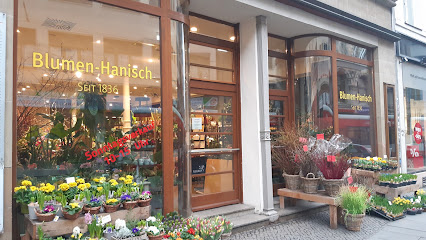 Blumen-Hanisch Halle (Saale)