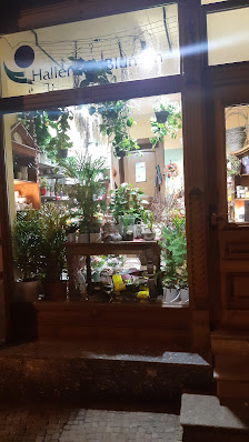 Hallenser Blumen GmbH