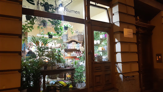 Hallenser Blumen GmbH