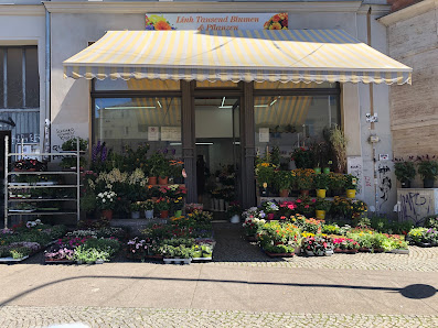 Linh Tausend Blumen & Pflanzen am Reileck