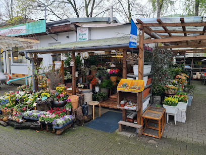 Die Sonnenblume