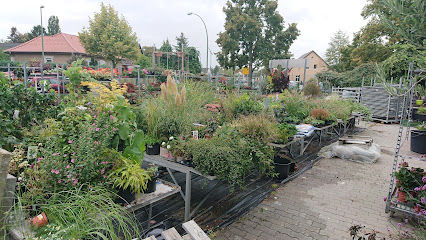 Blumen Werth