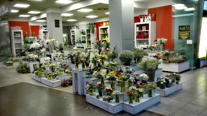 Floristik 99