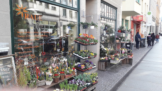 Blumen Raue