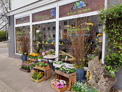 Vergissmeinnicht Blumengeschäft