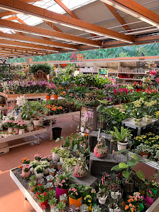 OBI Gartencenter Halle