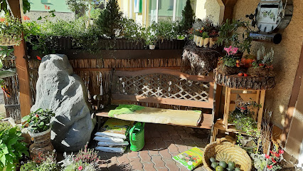 Blumen in Wörmlitz Sylvia Ertel
