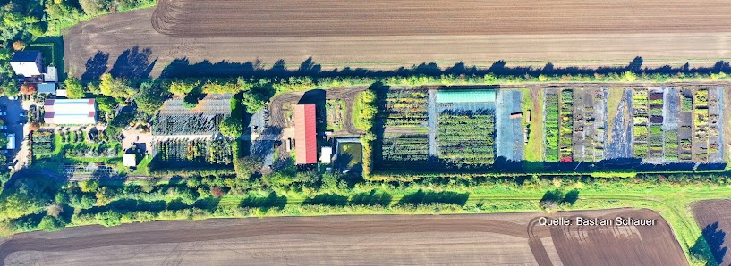 Baumschulen Schauer u. Söhne GbR