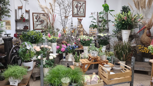 Blumen Rosi