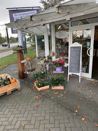 Blumenstudio Meyhöfer