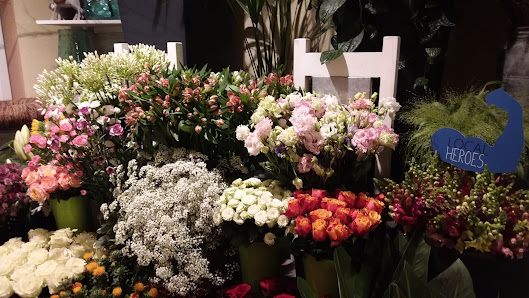 Blumen Pommerenke