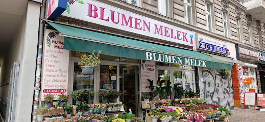 Blumen Melek