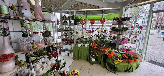 Ihre Blumeninsel