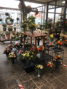 Pflanzen- und Floristikmarkt Hinz