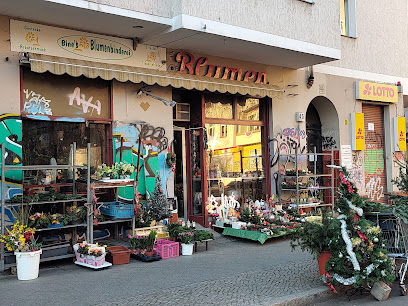 Blume Chin