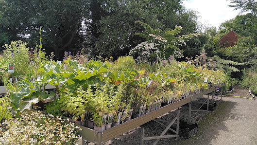 Floragarten Weinreich GmbH & Co. KG