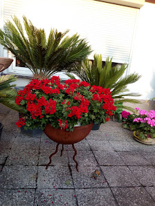 Blumenhaus Führing