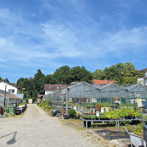 Gärtnerei Forster