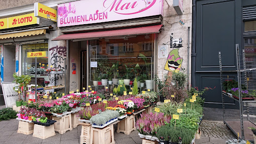Blumenladen Mai