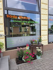 Börde-Blumen,immer eine grüne Idee