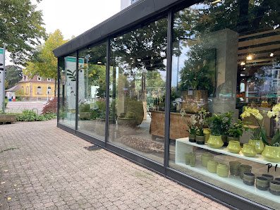 Blumen-Pleuger GmbH