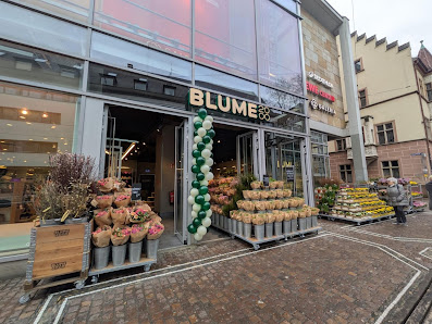 BLUME2000 Freiburg