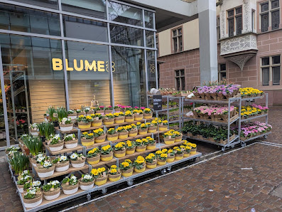 BLUME2000 Freiburg