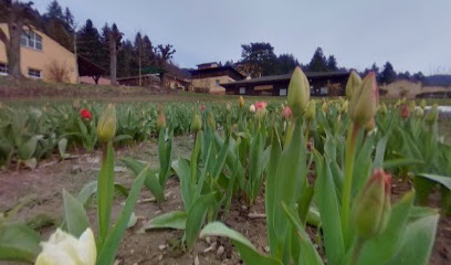 Blumenfeld Günterstal