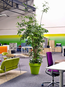 akzente pflanzen & design
