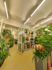 akzente pflanzen & design