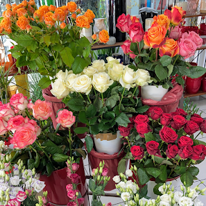 Tolo - Blumenboutique Freiburg