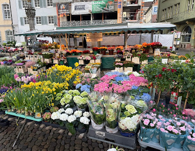 Rosen Bähr - Blumenstand Münstermarkt Freiburg