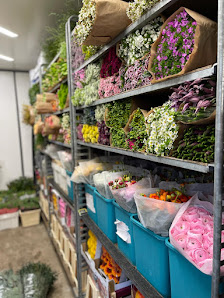 AlphaFlor - Blumen und Pflanzenkultur Freiburg